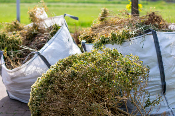 Shed Removal in Penitas, TX